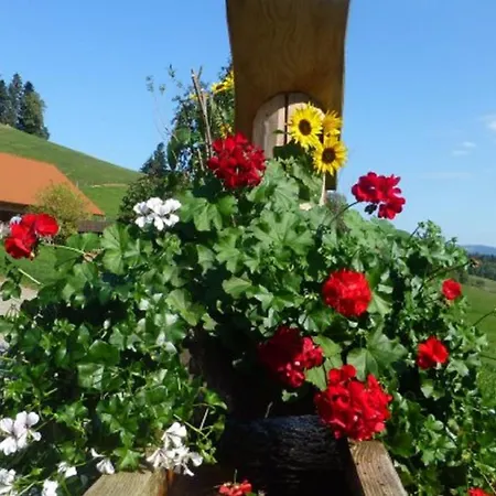 Apartment Hugenhof Bei Freiburg