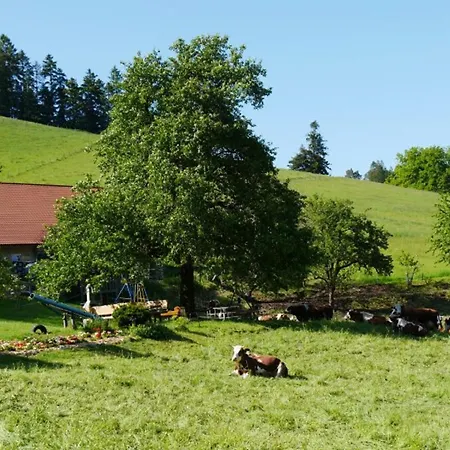 Apartment Hugenhof Bei Freiburg Kirchzarten