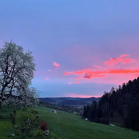 Hugenhof Bei Freiburg